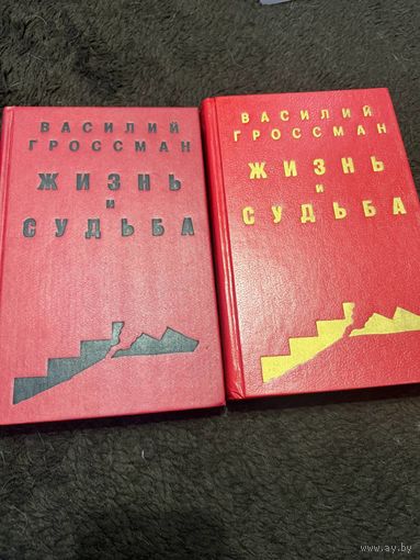 2 книги. Гроссман. Жизнь и судьба