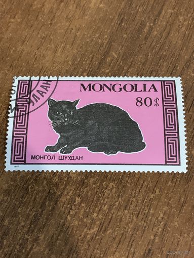 Монголия 1987. Домашние породы кошек. Марка из серии