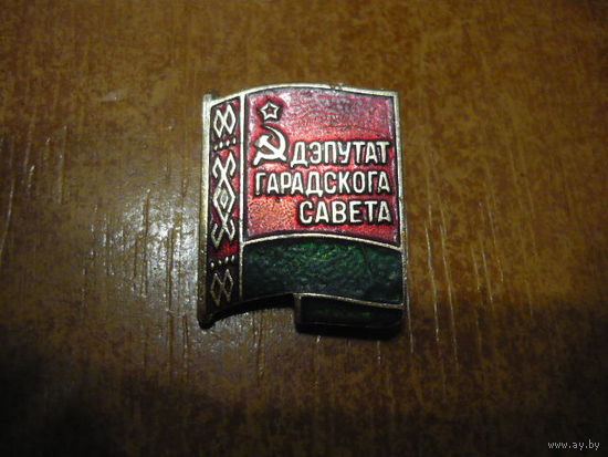 Депутат гарадского савета