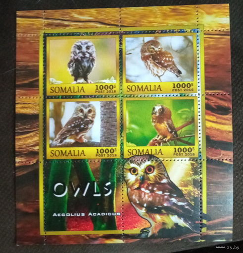 СЕРИЯ Блоков птицы   фауна  MNH