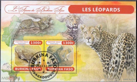 БУРКИНА ФАСО 2022 год  ФАУНА ЖИВОТНЫЕ  блок
