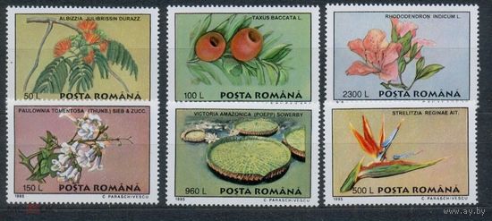 1995 - Румыния Цветы Флора MNH