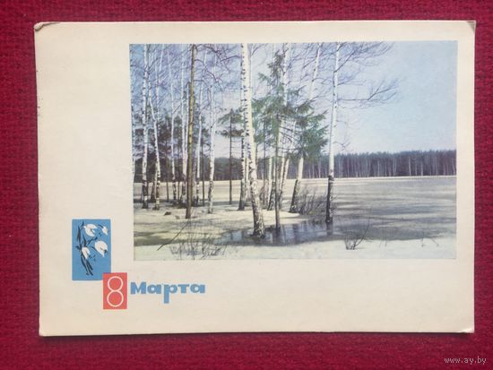 8 Марта! Дергилева, Гаврилова. 1968 г.