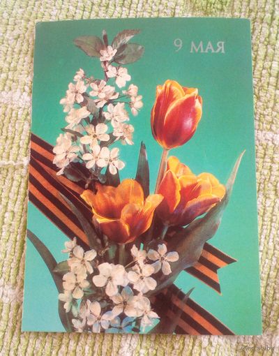9 Мая