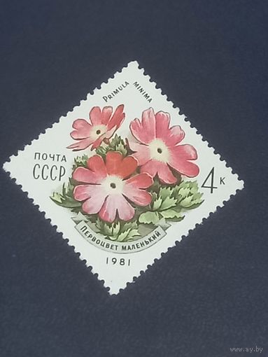Первоцвет маленький. СССР 1981г.