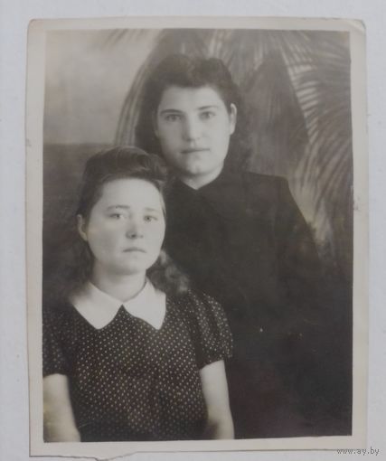 Фото в коллекцию