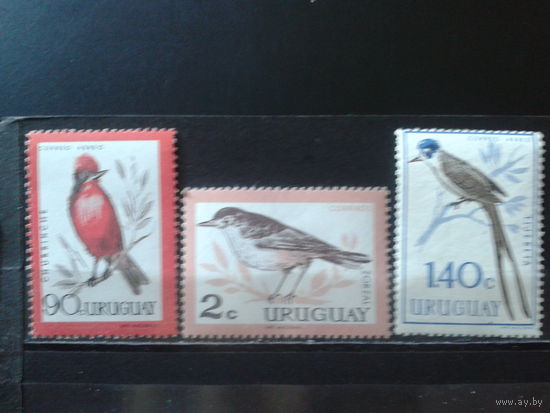 Уругвай 1962-3 Птицы* Михель-4,3 евро