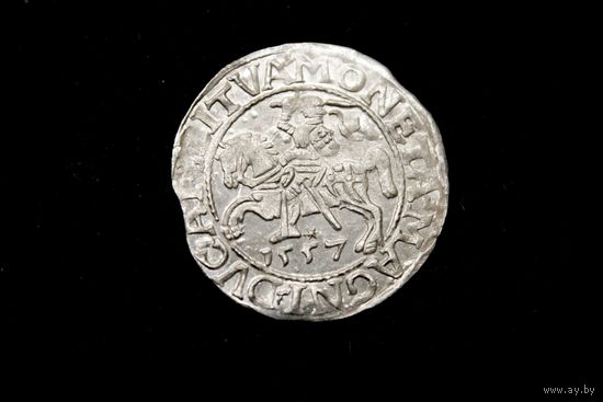 Полугрош 1557 г. Вильно (Великое Княжество Литовское), Сигизмунд Август. Сохран!