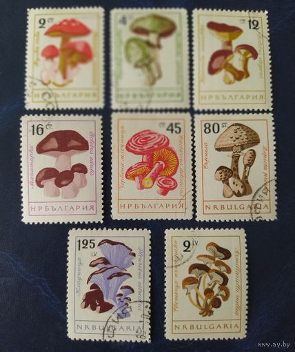 Болгария 1961 грибы