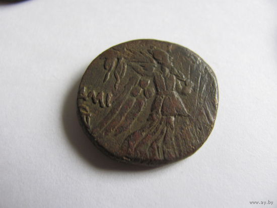 Лот.13 причерноморский какалик с 1р. без резерва для истинных ценителей.