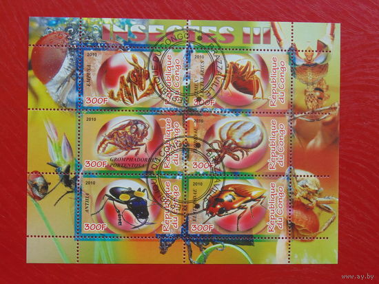 Конго 2010г. Насекомые-2.