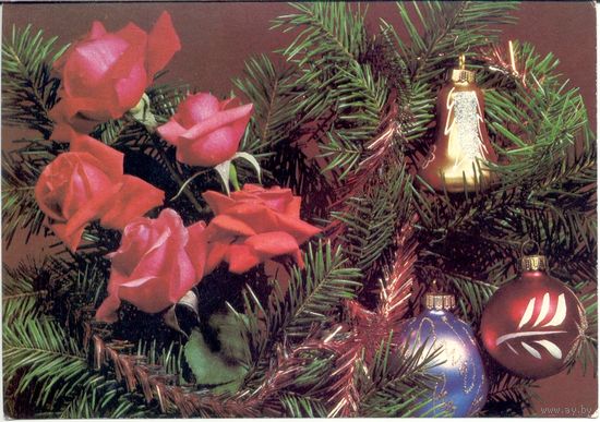 Чистая открытка СССР. Фото Круцко. 1990