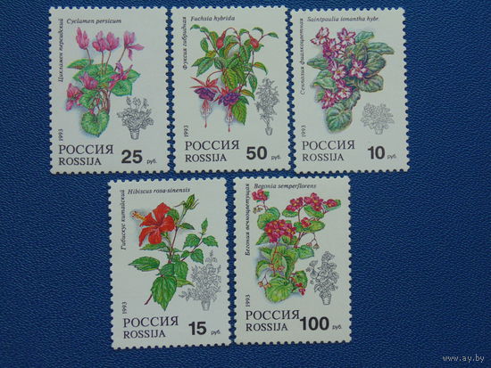 Россия 1993г. Флора.