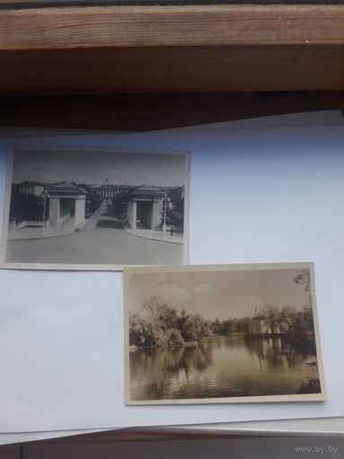 Открытое письмо 1951.1954