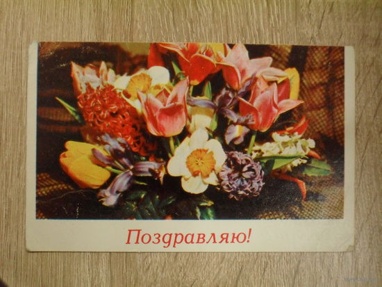 ПОДПИСАННАЯ ОТКРЫТКА СССР. "ПОЗДРАВЛЯЮ". ФОТО. Б. КРУЦКО, Р. ПАПИКЬЯНА. 1969 ГОД.
