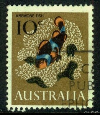 Австралия - 1966 [Mi. 367] Гашеная (AU09)