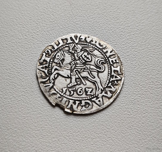 Полугрош 1562 г. Сигизмунд II Август, Вильно, лот рп-3