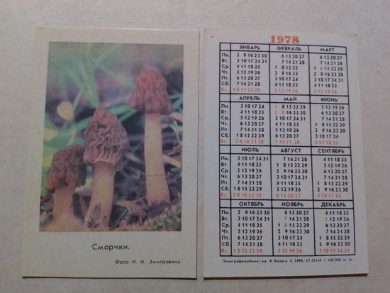 Карманный календарик. Сморчки. тираж 400 000. 1978 год