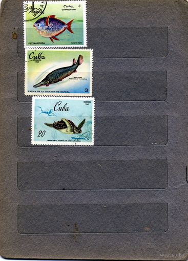 КУБА, 1967, РЫБЫ,   3м гашен