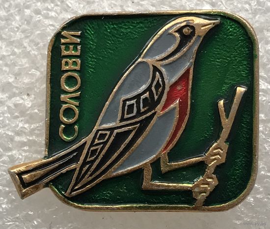 СОЛОВЕЙ