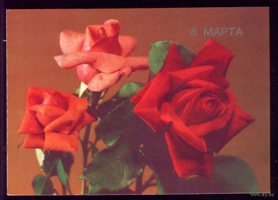 1989 год Б.Круцко 8 марта