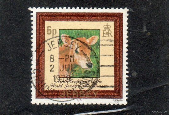 Великобритания. Джерси  Mi:JE 196. Теленок Джерси (Bos primigenius taurus). 9-я конференция Всемирного бюро по скотоводству Джерси .1979