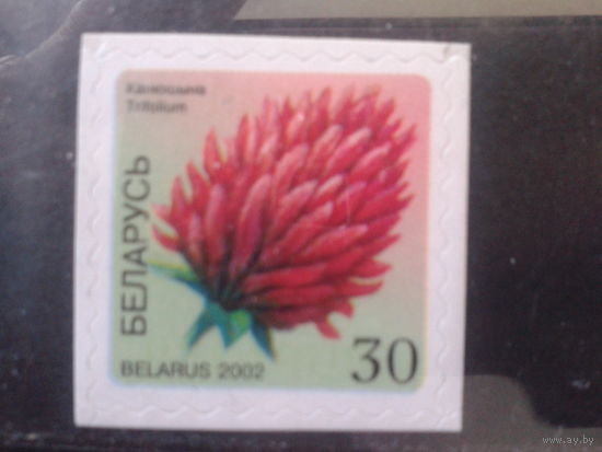 2002 Клевер**