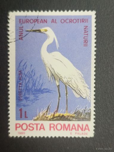 Румыния 1980. Европейский год охраны природы. Фауна. Малая белая цапля