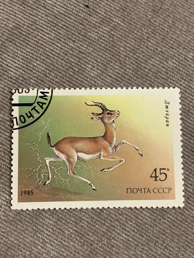 СССР 1985. Джейран. Марка из серии