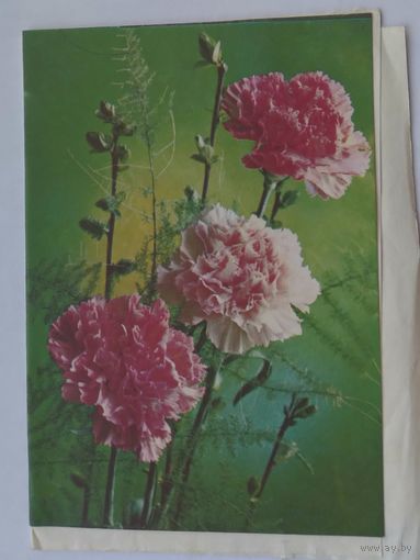 Телеграмма 1979г.