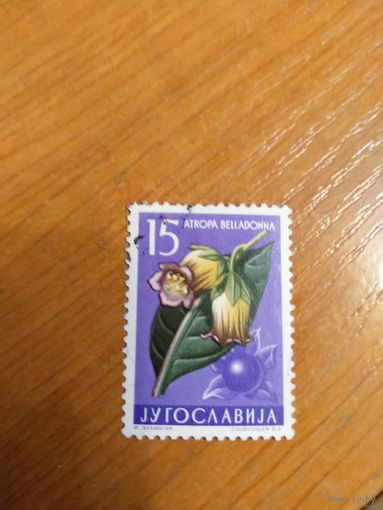 1957 Югославия флора цветы (4-6)