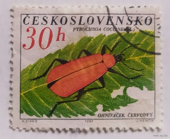 Чехословакия 1962, Жук