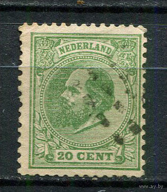Нидерланды - 1872/1888 - Король Виллем III 20C - [Mi.24D] - 1 марка. Гашеная.  (Лот 17JN)-T4P1