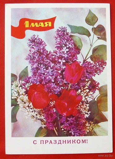1 Мая! Подписанная. 1984 года. Дергилев. # 116.
