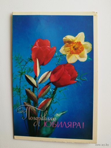 Поздравляю юбиляра! 1974 год. Художник В. Лисецкий. Двойная. Чистая.