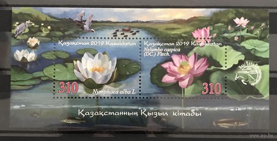 2019 Водные цветы