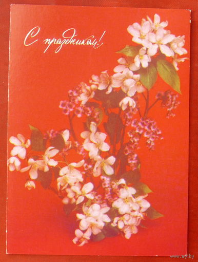 С праздником! Чистая. 1990 года. Агладзе. 227.