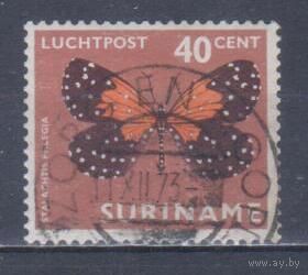[1453] Суринам 1972. Фауна.Бабочка. Гашеная марка.