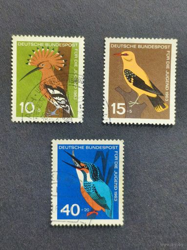 Германия 1963. Молодежный хостел - Птицы