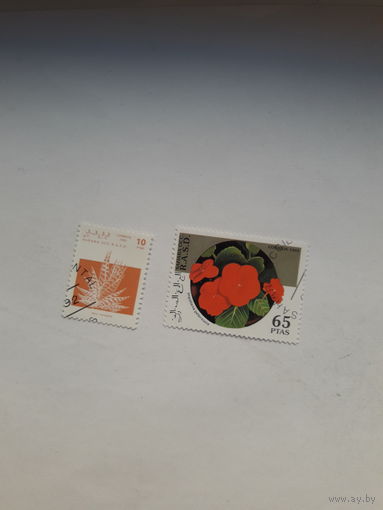 Западная Сахара