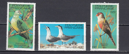Фауна. Птицы. Полинезия. 1981. 3 марки. Michel N 333-335 (6,5 е).
