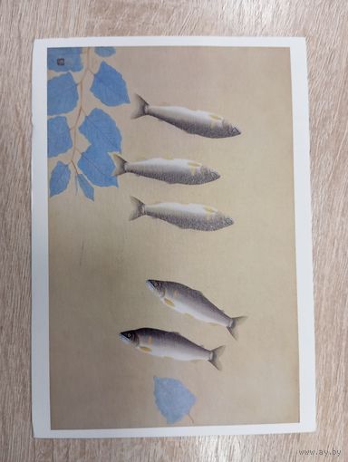 О-10. ПОДПИСАННАЯ ОТКРЫТКА. ЯПОНИЯ. Рыбы.