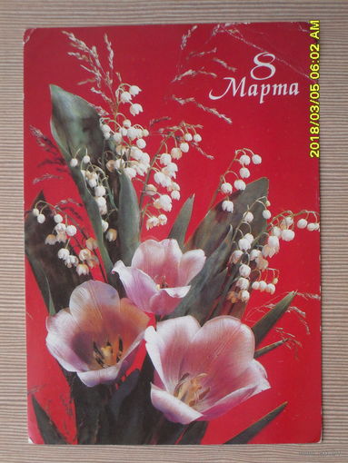 ЧИСТАЯ ПОЧТОВАЯ ОТКРЫТКА.8 МАРТА.ФОТО.И.ДЕРГИЛЕВА. 1991г.
