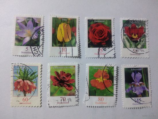 ГЕРМАНИЯ стандарты ЦВЕТЫ