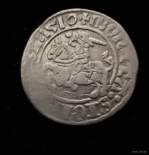 Полугрош 1510 г.