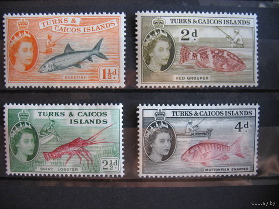 Брит. колония о-ва Тёркс и Кайкос. Рыбы,  1957 г. металлография,  2 фото. см. условие.