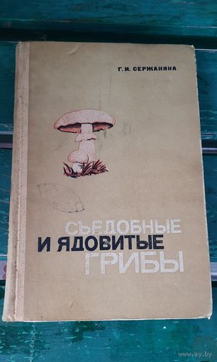 Съедобные и ядовитые грибы