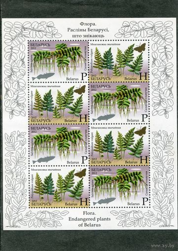 Беларусь 2012. Флора. Папоротники. Малый лист