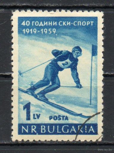 40-летие лыжного спорта Болгария 1959 год серия из 1 марки