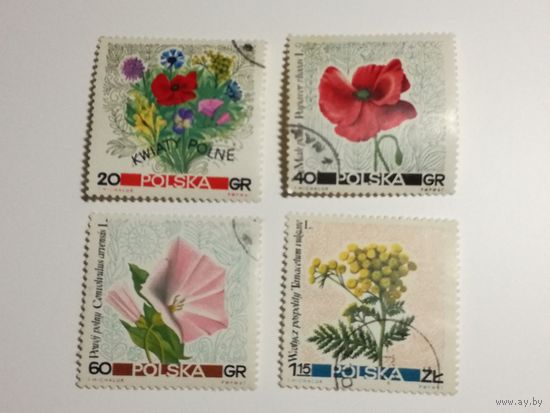 Польша 1967. Цветы